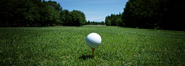 Photo of a golf ball on a tee at a golf course